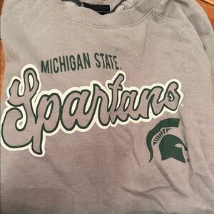 Michigan State Spartans Women's Gray Sweater